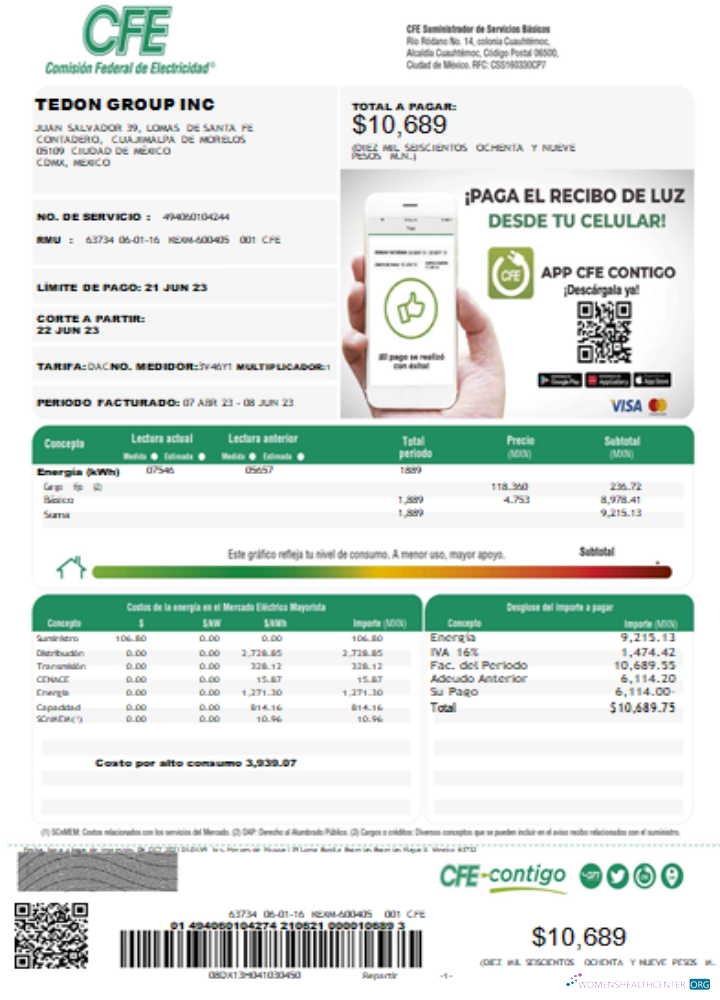 Download Federal Electricity Commission (CFE) utility bill SCR page 1 Photoshop template